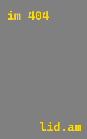 Импорт Li Auto L9 под заказ в Кинель от 7997580 р. | А5Групп